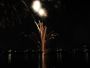 inuyama_fire08_3.jpg