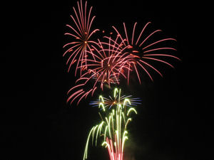 inuyama_fire08_5.jpg