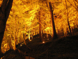 korankei07_5.jpg