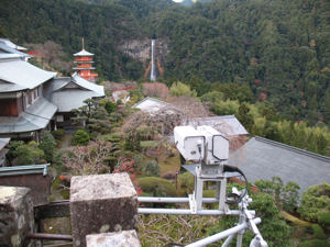 kumano_8.jpg