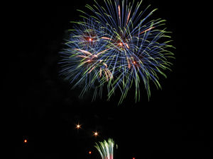 nagaragawa2008_3.jpg
